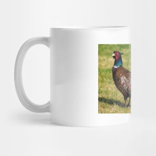 Kokucho (The National Bird) Green pheasant Mug